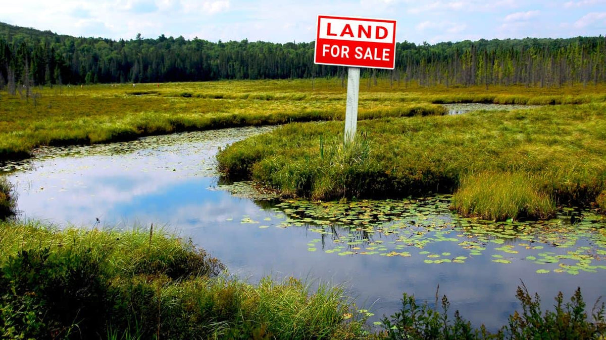 How to Identify Wetlands Before You Buy Land in 2026