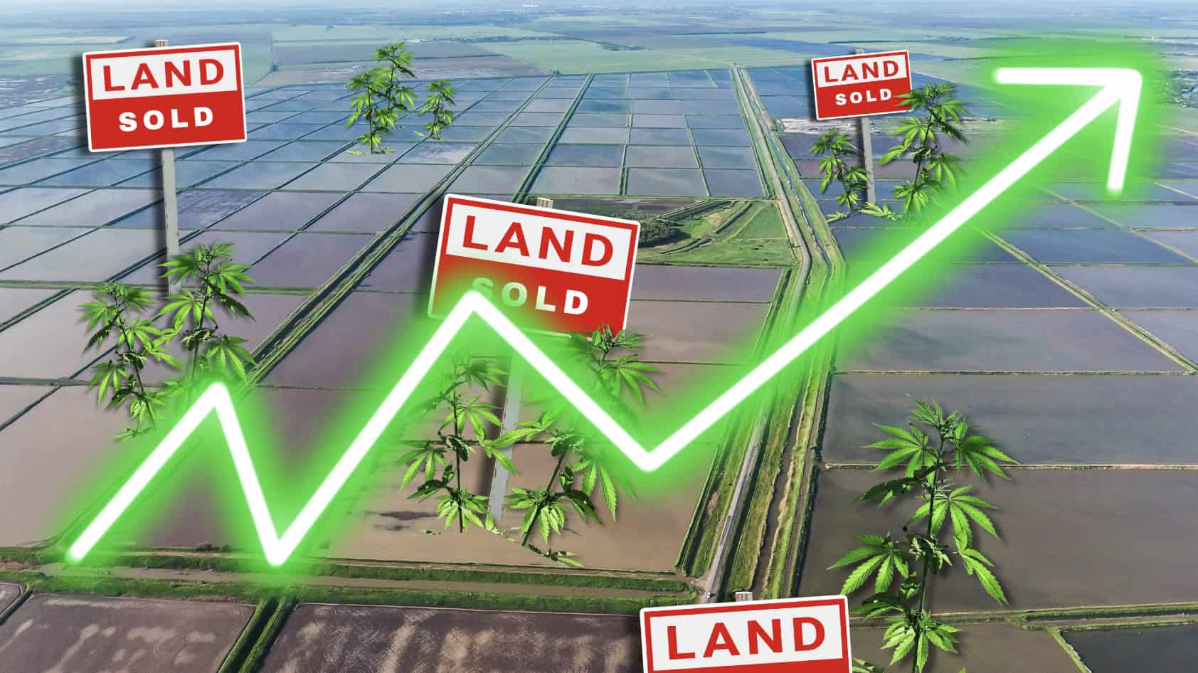 Cannabis & real estate