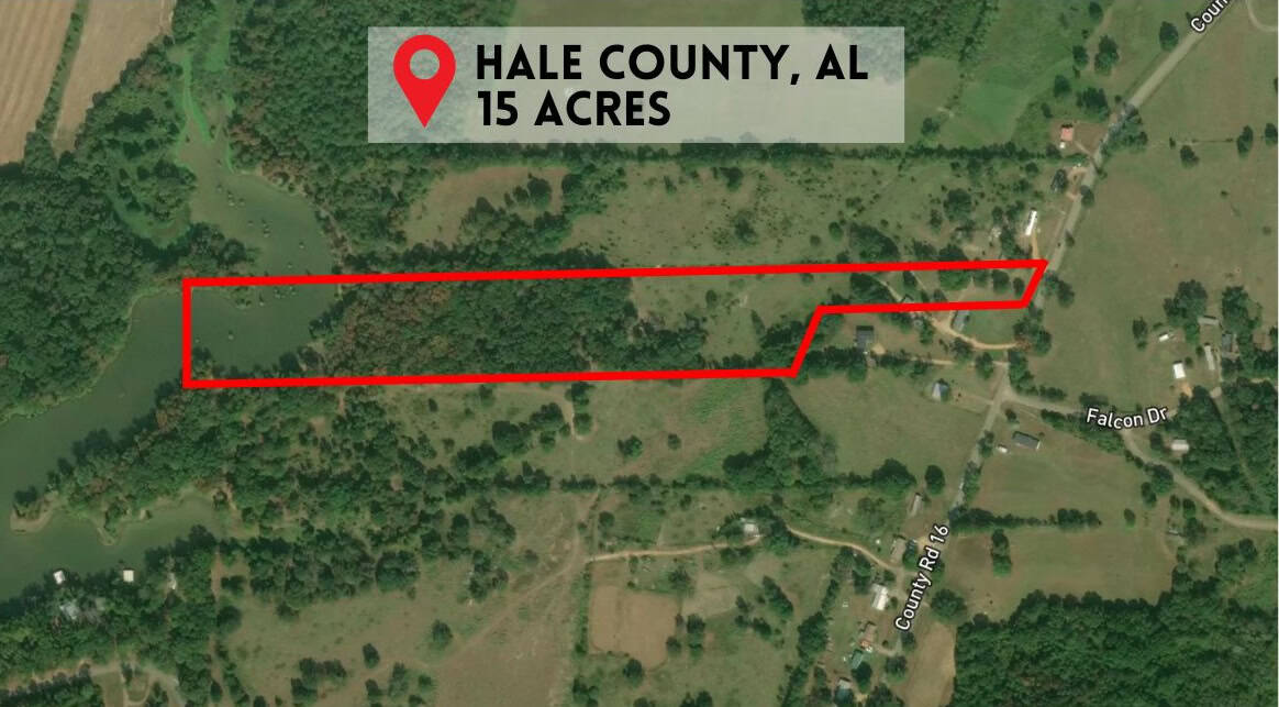 Deal Review: Flipping 15 Acres in Hale County, Alabama