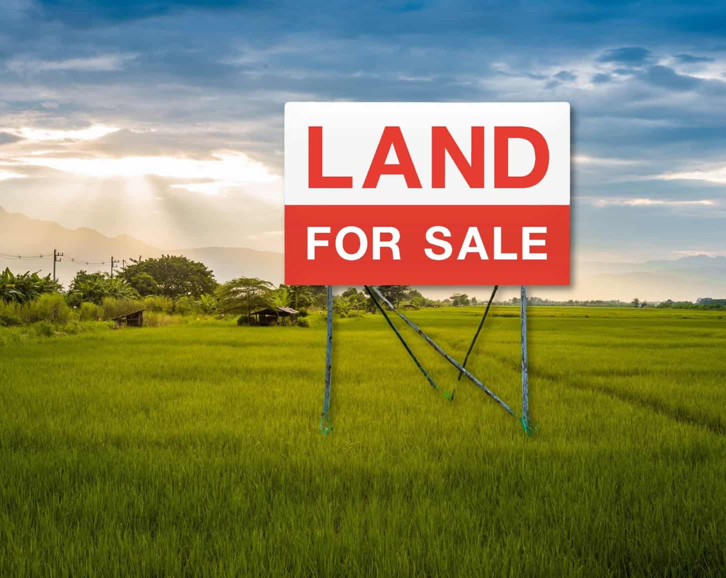 How to Flip Land for Profit: Step by Step