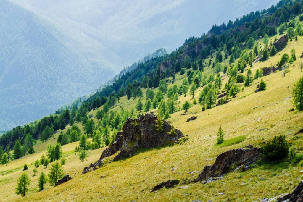 How to Evaluate the Slope of Land for Land Flipping Using The Land Portal