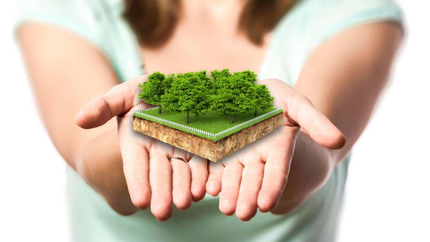 The Power of Seller Financing in Land Investing