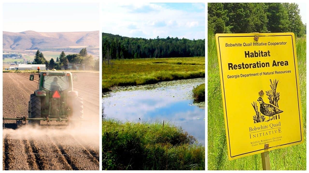 The Land Investing Guide to Understanding Different Land Types