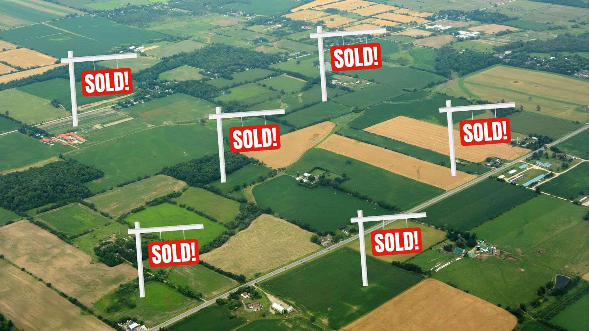 Land Flipping 101 (BEGINNERS GUIDE)